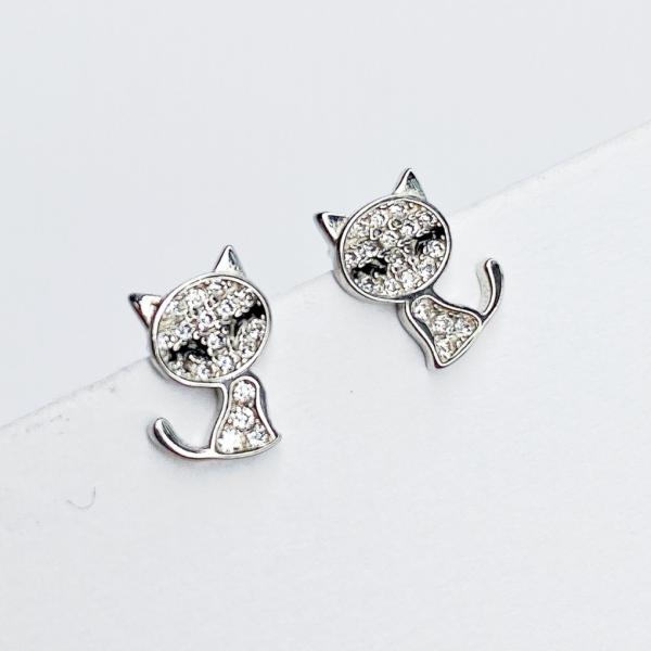 ARETES PLATA  925 1EA103813