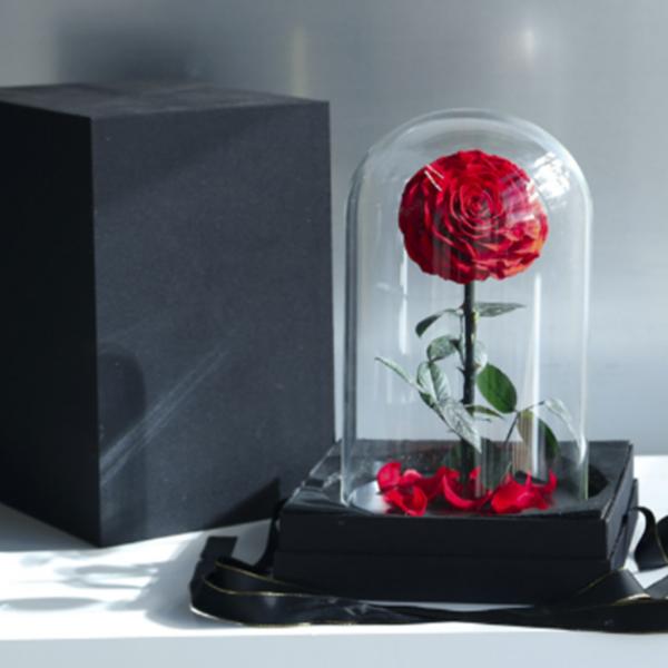 ROSA REAL  PRESERVADA  EN DOMO S ROJO