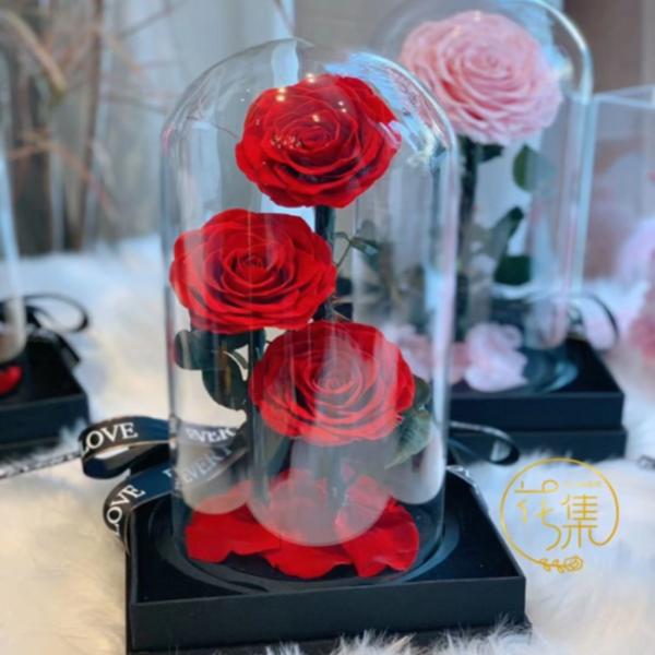 3 ROSAS REALES PRESERVADA EN DOMO  M ROJO