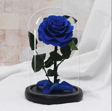 ROSA REAL  PRESERVADA  EN DOMO S AZUL
