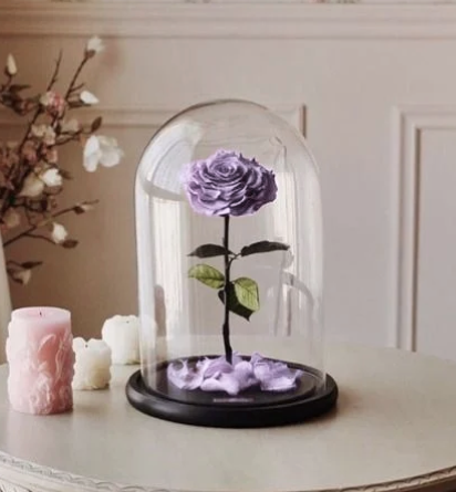 ROSA REAL  PRESERVADA  EN DOMO S PURPURA